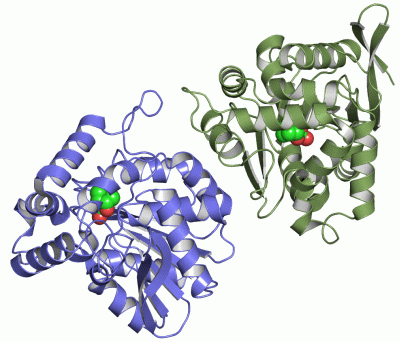 Image Asym.Unit - manually