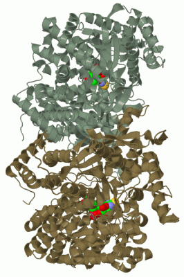 Image Biol.Unit 1 - manually