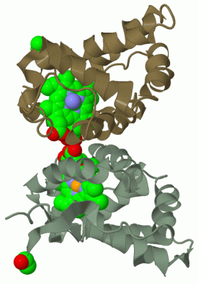 Image Biol.Unit 1 - manually