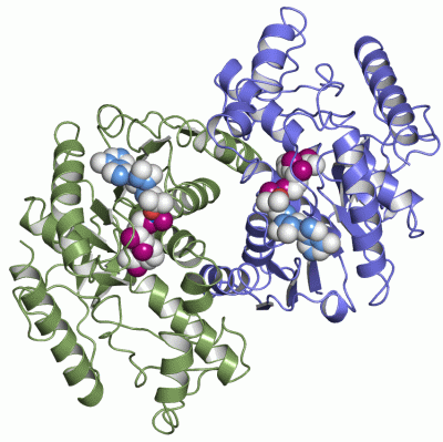 Image Asym./Biol. Unit - manually