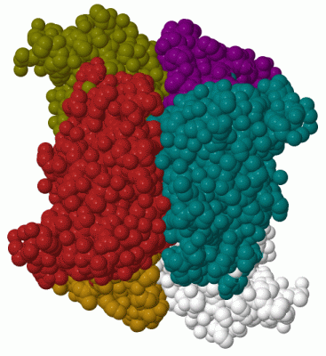 Image Biol.Unit 1 - manually