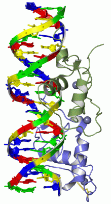 Image Asym./Biol. Unit - manually