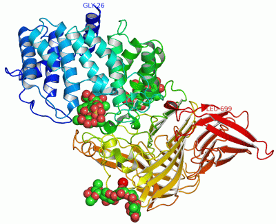 Image Asym./Biol. Unit - manually