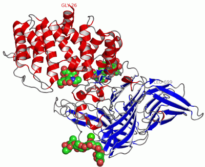 Image Asym./Biol. Unit - manually