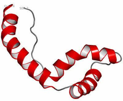 Image NMR Structure - manually