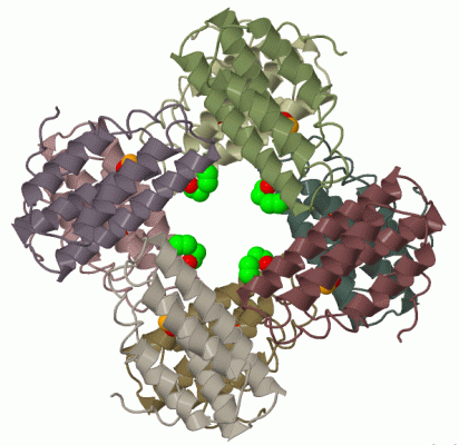 Image Biol.Unit 1 - manually