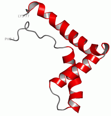 Image NMR Structure - manually