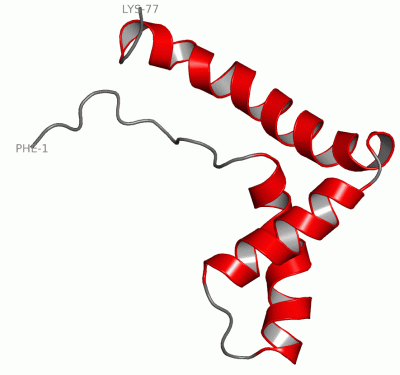 Image NMR Structure - manually