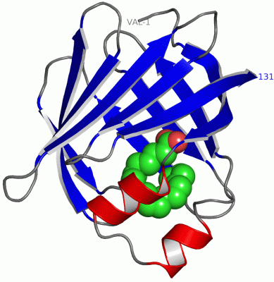 Image Asym./Biol. Unit - manually