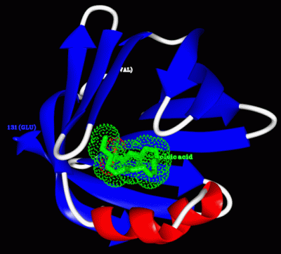 Image Asym./Biol. Unit - manually