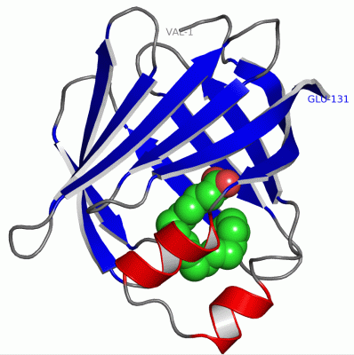 Image Asym./Biol. Unit - manually