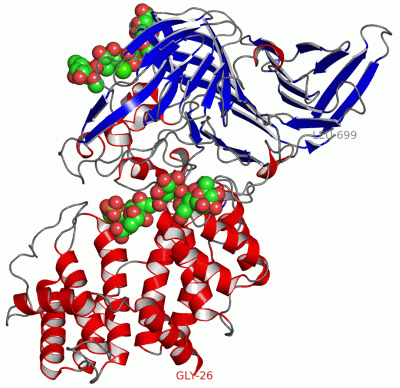 Image Asym./Biol. Unit - manually