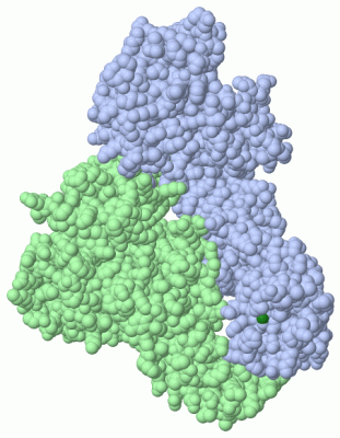 Image Biol.Unit 1 - manually