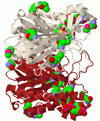 Image Biol.Unit 1 - manually