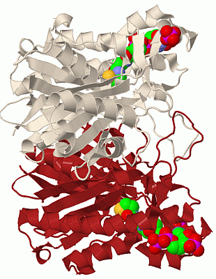 Image Biol.Unit 1 - manually