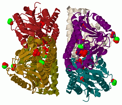 Image Biol.Unit 1 - manually