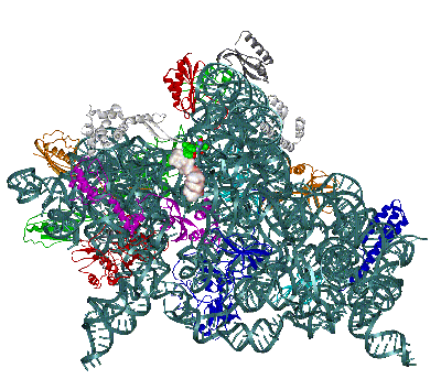 Image Asym./Biol. Unit - manually