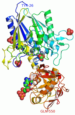 Image Asym./Biol. Unit - manually