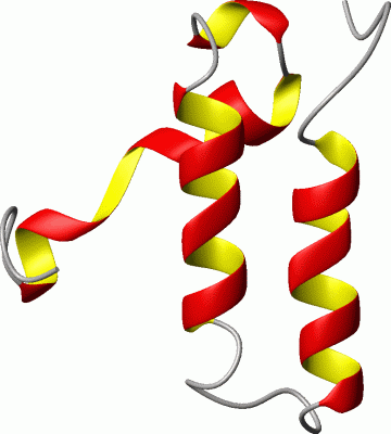 Image NMR Structure - manually