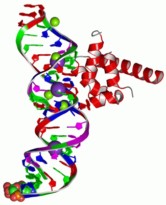 Image Asym./Biol. Unit - manually