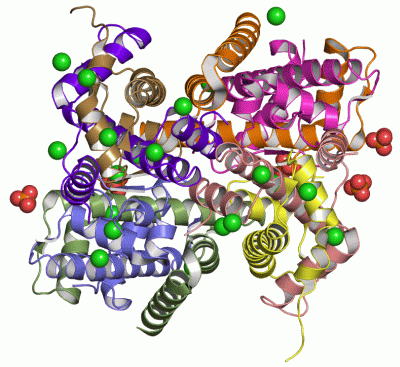 Image Asym./Biol. Unit - manually