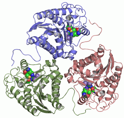 Image Asym./Biol. Unit - manually