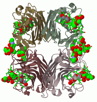 Image Biol.Unit 1 - manually