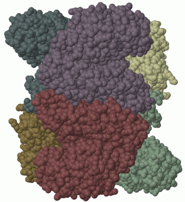 Image Biol.Unit 1 - manually