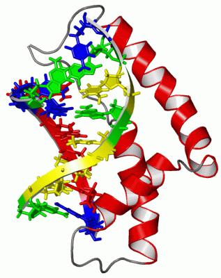 Image NMR Structure - manually