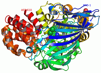 Image Asym./Biol. Unit - manually