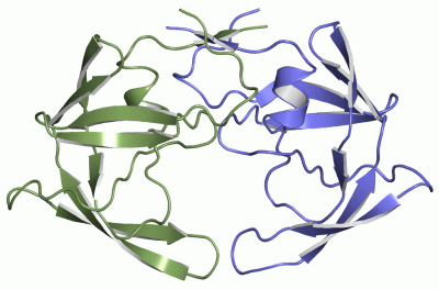 Image Asym./Biol. Unit - manually