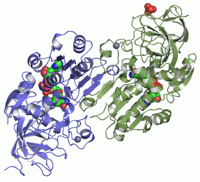 Image Asym./Biol. Unit - manually