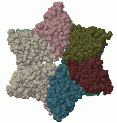 Image Biol.Unit 1 - manually