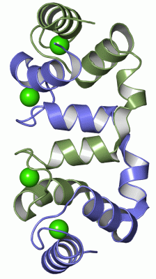 Image Asym./Biol. Unit - manually