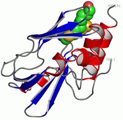 Image Asym./Biol. Unit - manually