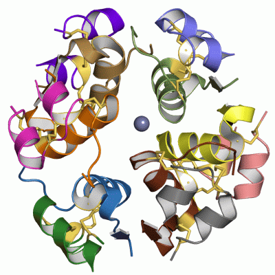 Image Asym./Biol. Unit - manually