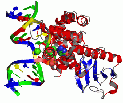 Image Asym./Biol. Unit - manually