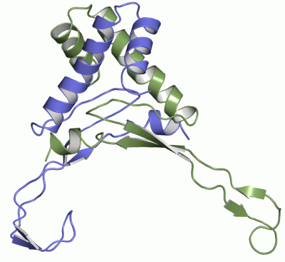 Image NMR Structure - manually