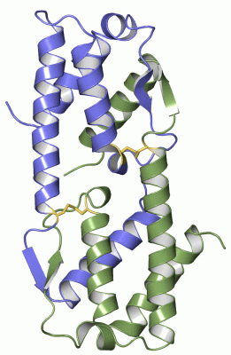 Image Asym./Biol. Unit - manually