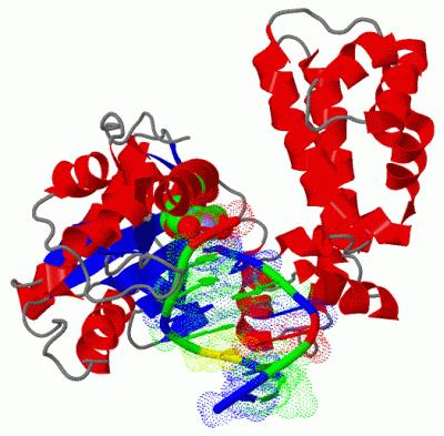 Image Biol.Unit 1 - manually