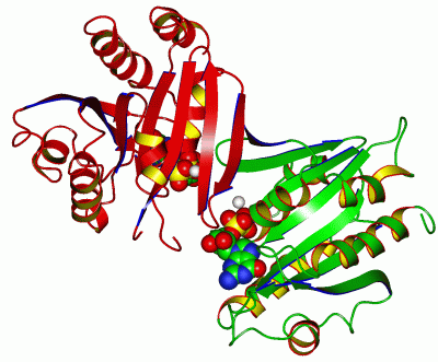 Image Asym./Biol. Unit - manually