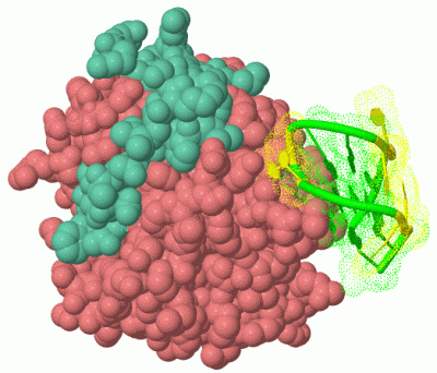 Image Asym./Biol. Unit - manually