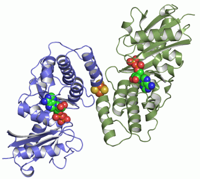 Image Asym./Biol. Unit - manually