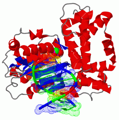 Image Biol.Unit 1 - manually