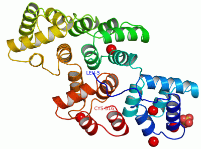 Image Asym./Biol. Unit - manually