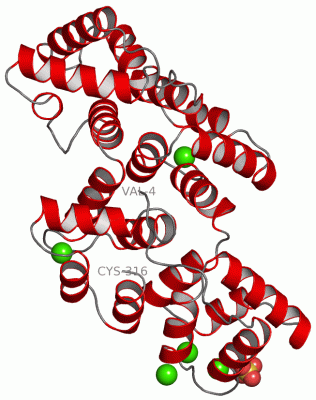 Image Asym./Biol. Unit - manually