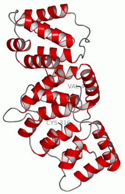 Image Asym./Biol. Unit - manually