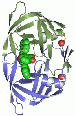 Image Asym./Biol. Unit - manually