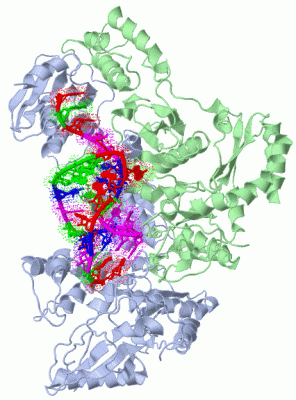 Image Biol.Unit 1 - manually