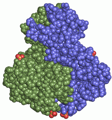 Image Asym./Biol. Unit - manually